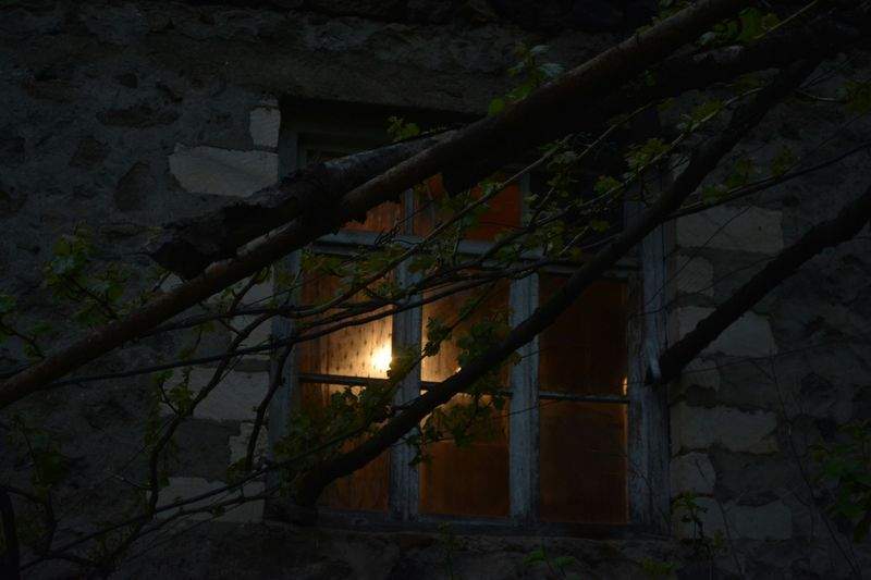 ライフスタイル・デザイン株式会社 - Image 1